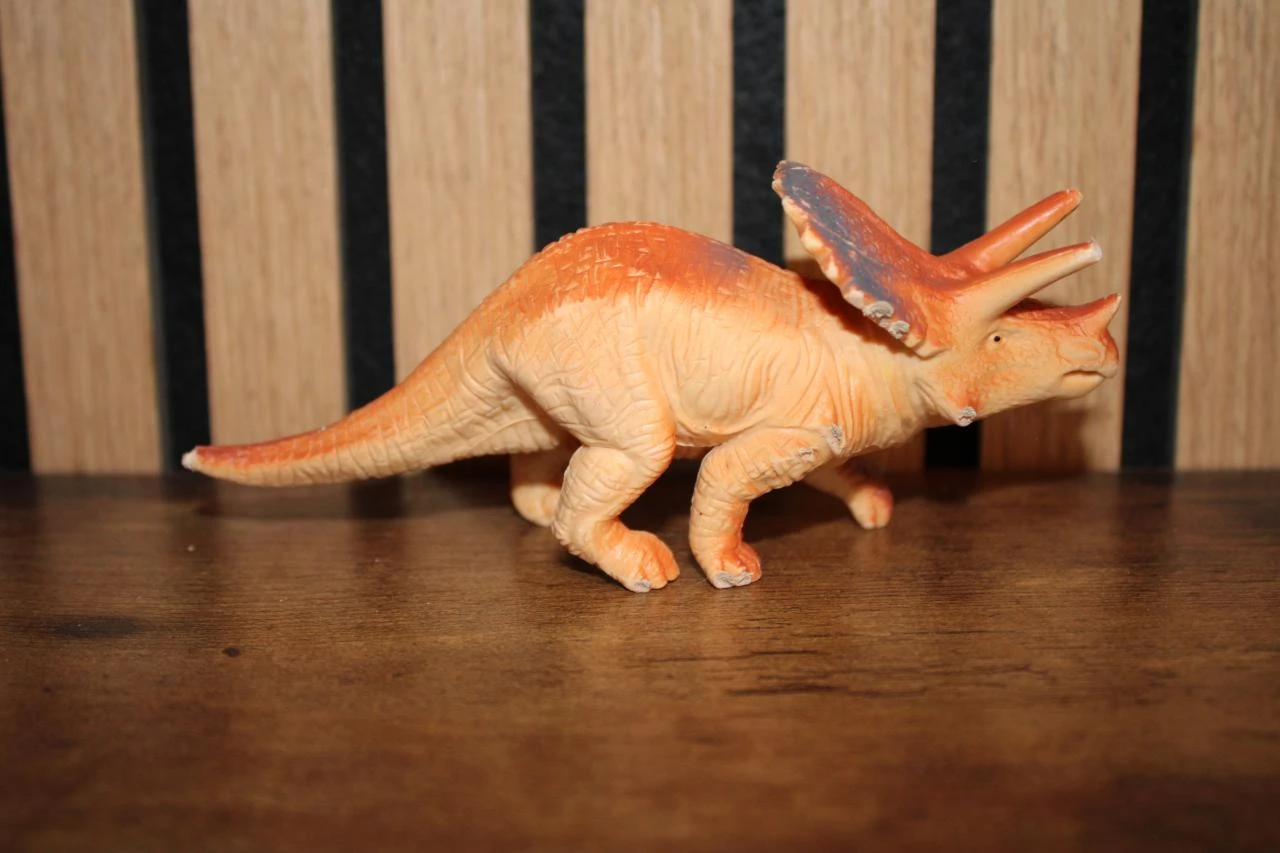 Dinossauro Tricerátops – photo 2